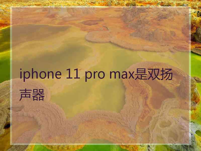 iphone 11 pro max是双扬声器