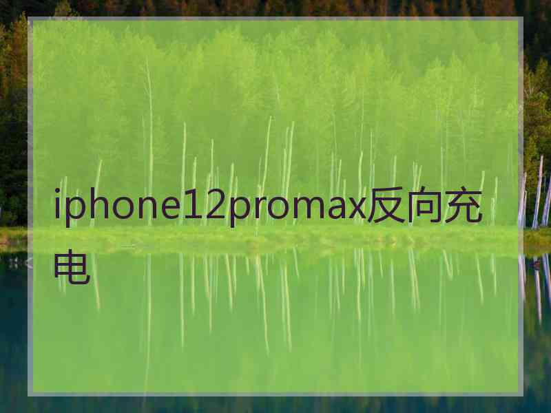 iphone12promax反向充电