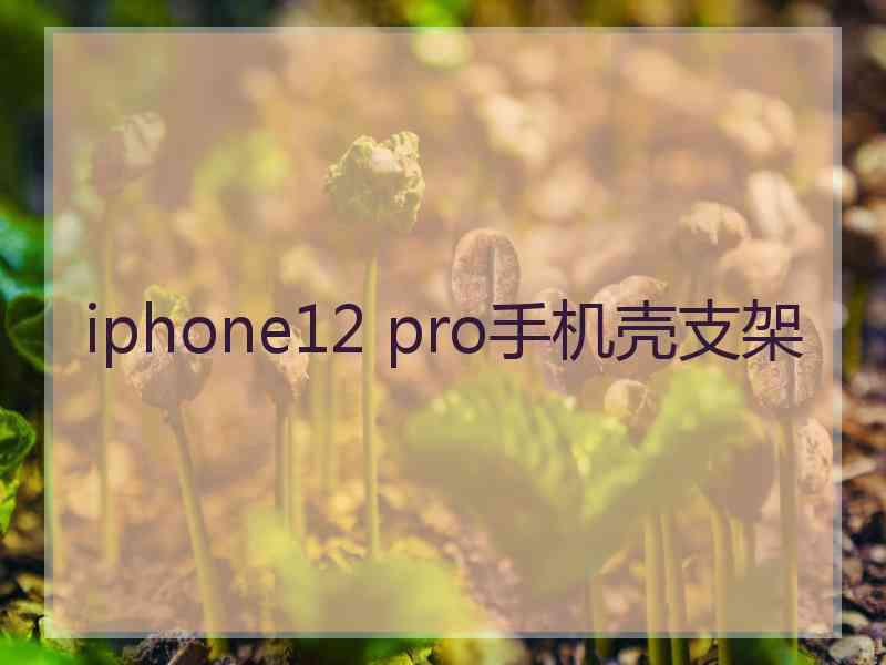 iphone12 pro手机壳支架