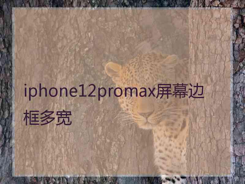 iphone12promax屏幕边框多宽