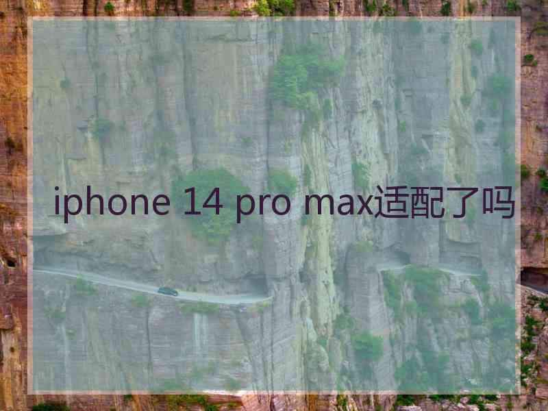 iphone 14 pro max适配了吗