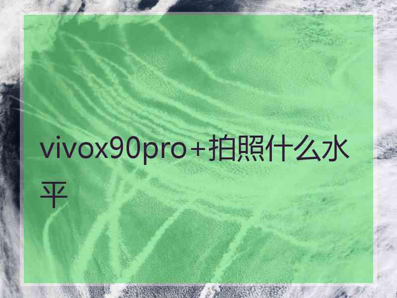 vivox90pro+拍照什么水平