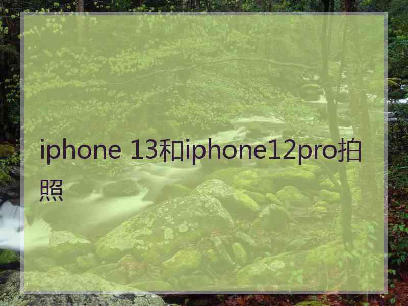 iphone 13和iphone12pro拍照