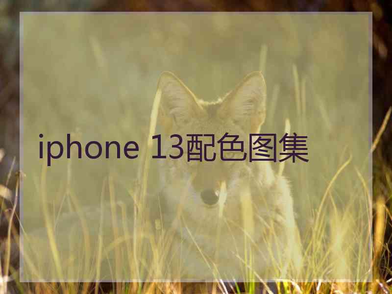 iphone 13配色图集