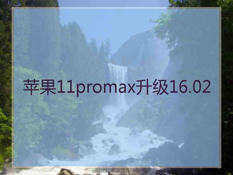 苹果11promax升级16.02