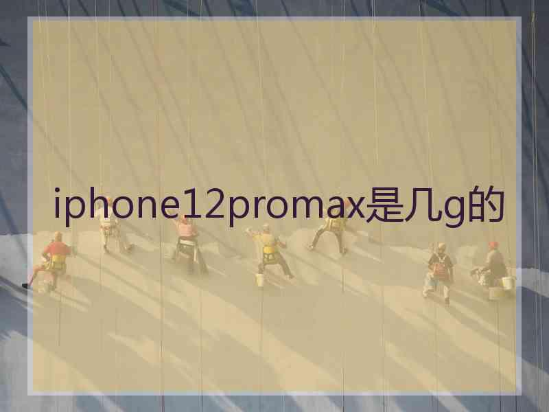 iphone12promax是几g的