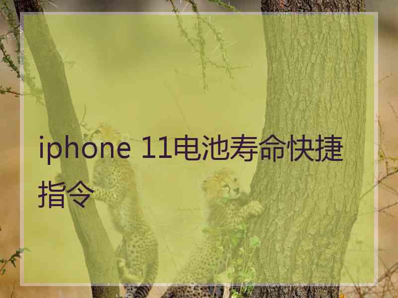 iphone 11电池寿命快捷指令