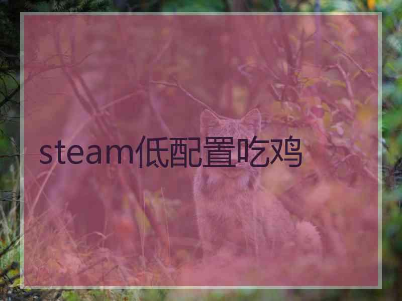 steam低配置吃鸡