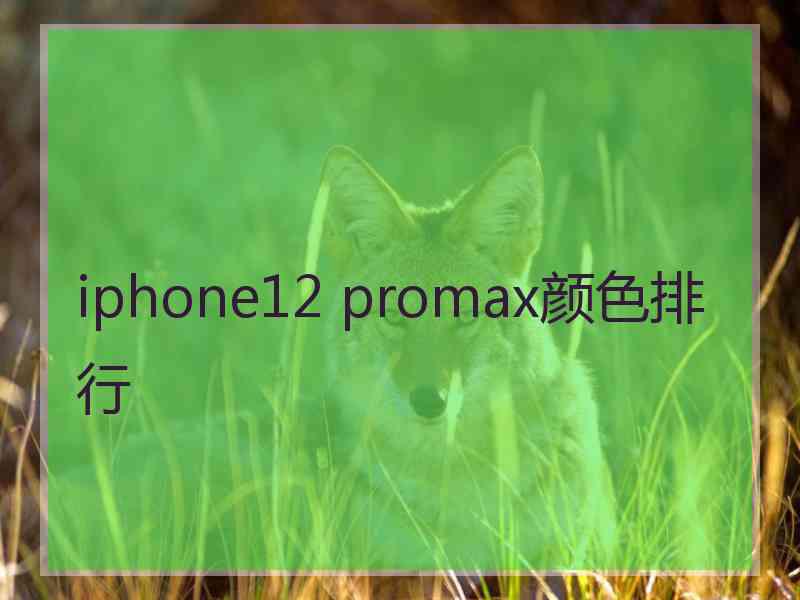 iphone12 promax颜色排行