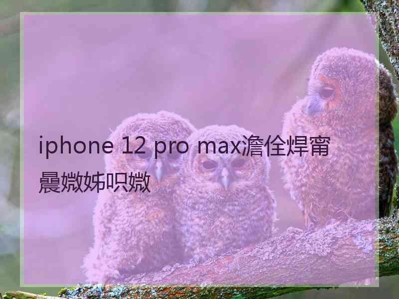 iphone 12 pro max澹佺焊甯曟媺姊呮媺