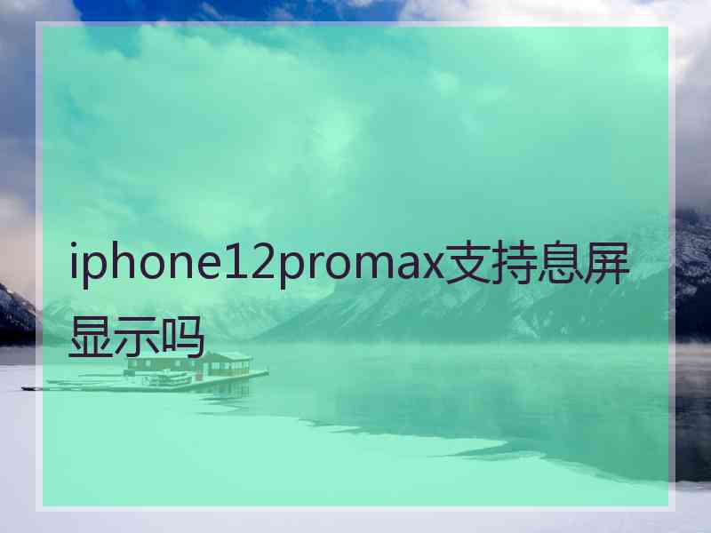 iphone12promax支持息屏显示吗