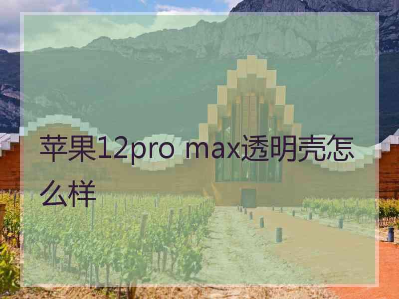 苹果12pro max透明壳怎么样