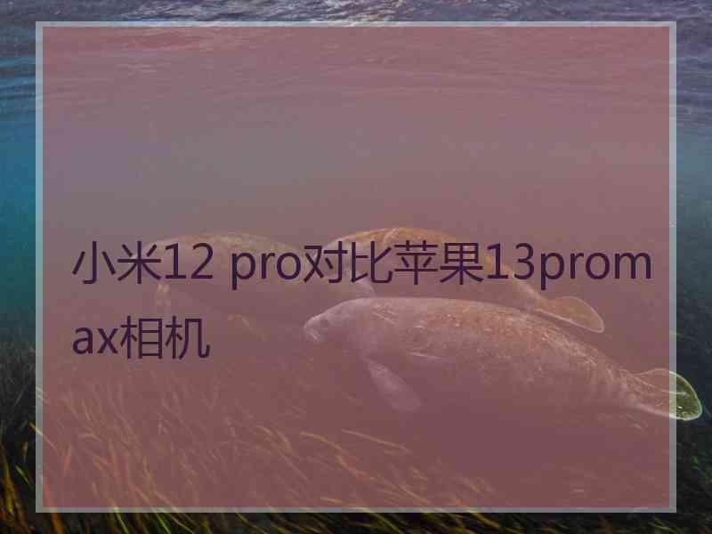 小米12 pro对比苹果13promax相机