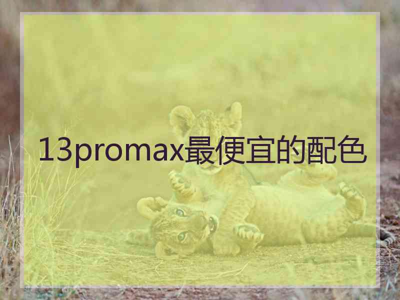 13promax最便宜的配色