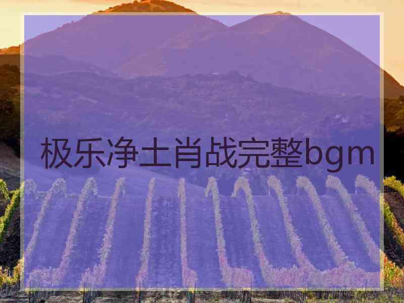 极乐净土肖战完整bgm