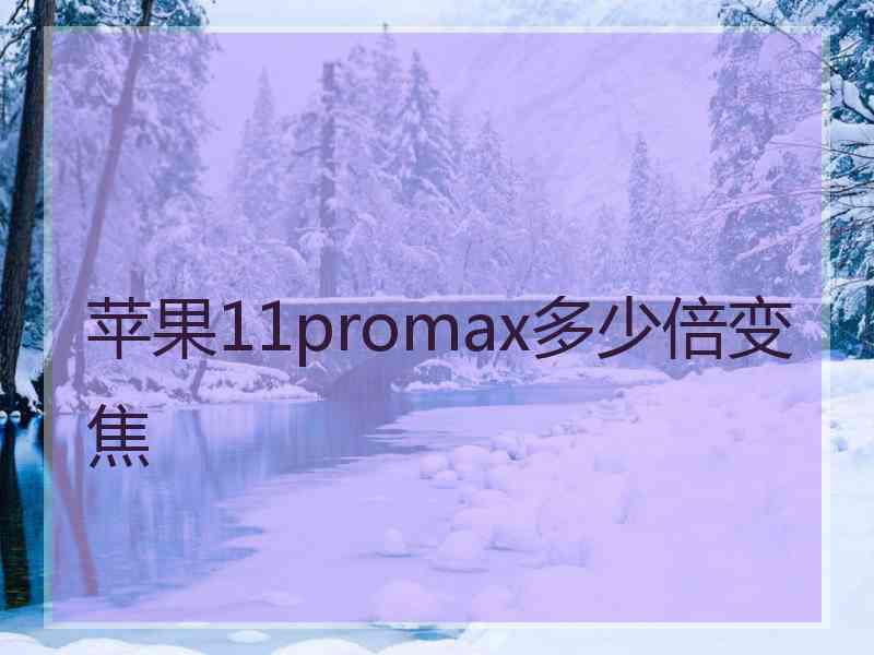 苹果11promax多少倍变焦