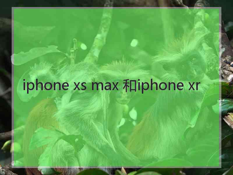 iphone xs max 和iphone xr