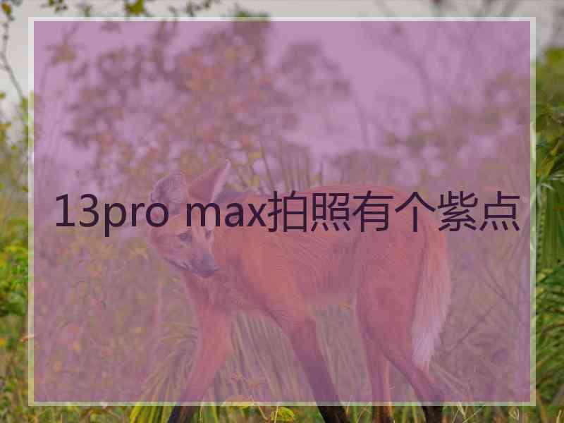 13pro max拍照有个紫点