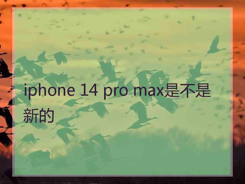 iphone 14 pro max是不是新的