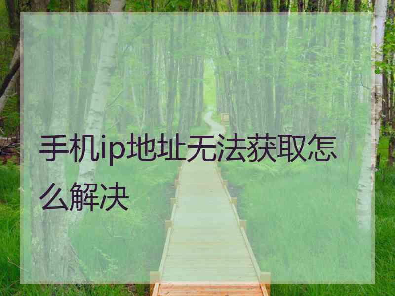 手机ip地址无法获取怎么解决