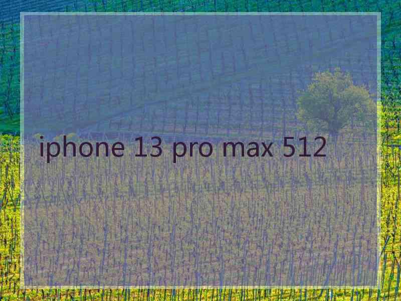 iphone 13 pro max 512