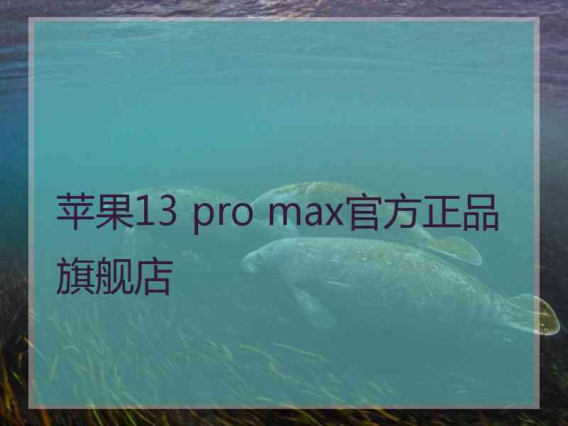 苹果13 pro max官方正品旗舰店