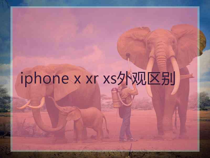 iphone x xr xs外观区别