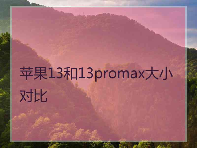 苹果13和13promax大小对比