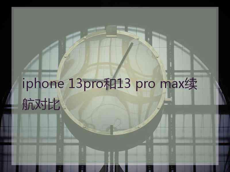 iphone 13pro和13 pro max续航对比