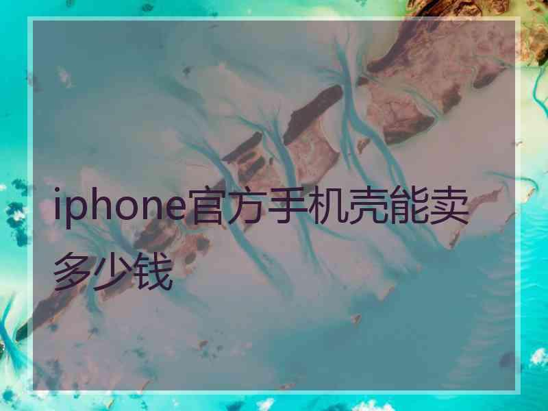 iphone官方手机壳能卖多少钱