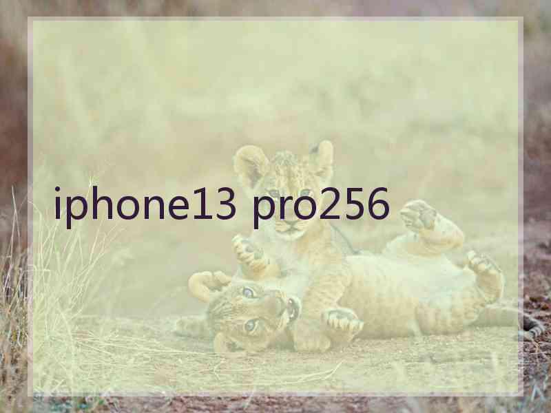 iphone13 pro256