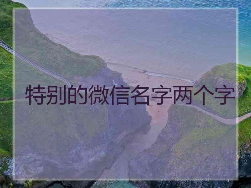 特别的微信名字两个字