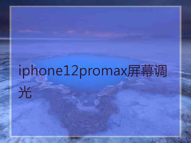 iphone12promax屏幕调光