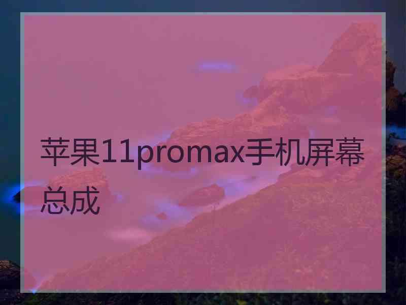 苹果11promax手机屏幕总成