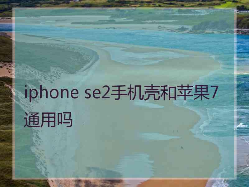 iphone se2手机壳和苹果7通用吗