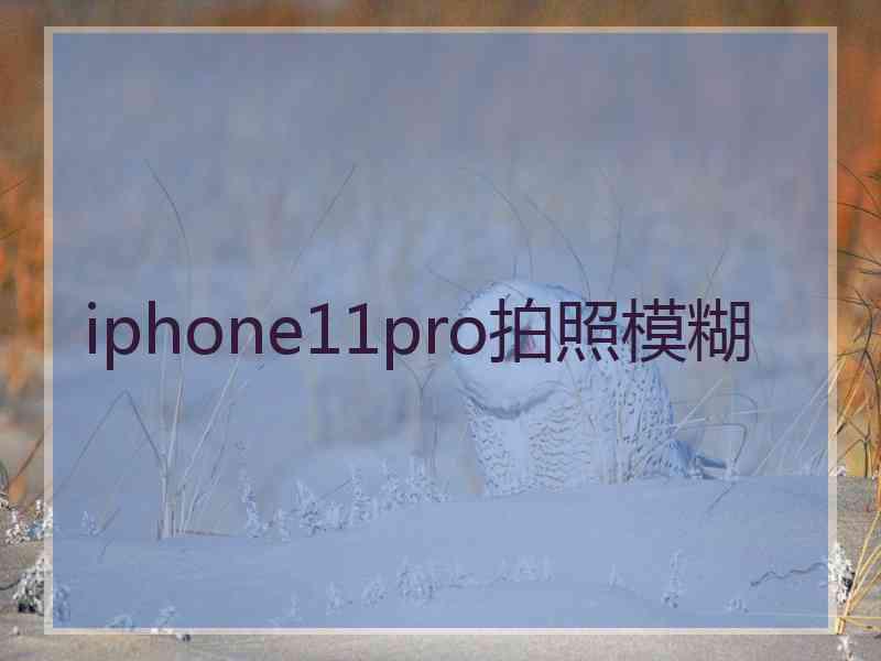 iphone11pro拍照模糊