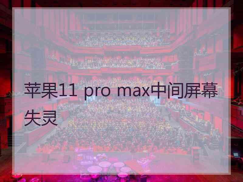 苹果11 pro max中间屏幕失灵