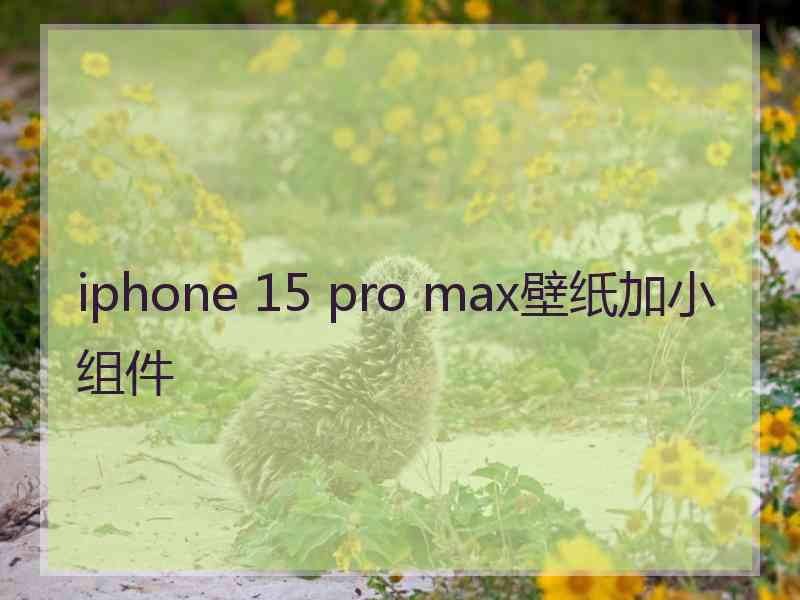 iphone 15 pro max壁纸加小组件