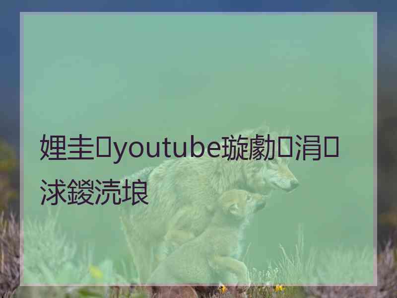 娌圭youtube璇勮涓浗鍐涜埌