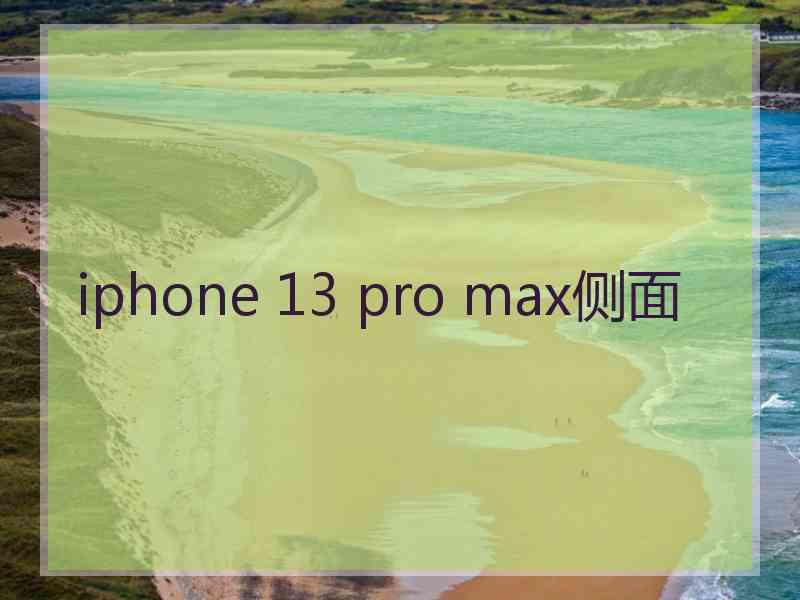 iphone 13 pro max侧面