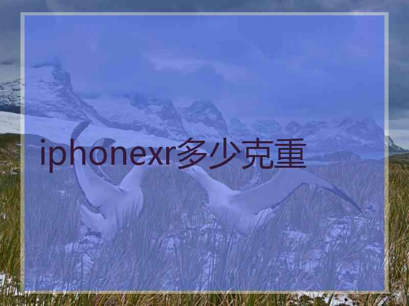 iphonexr多少克重