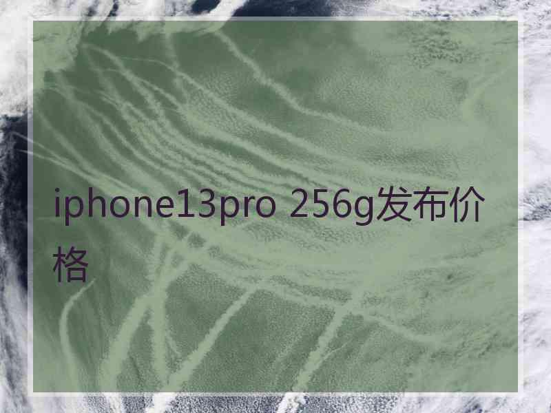 iphone13pro 256g发布价格