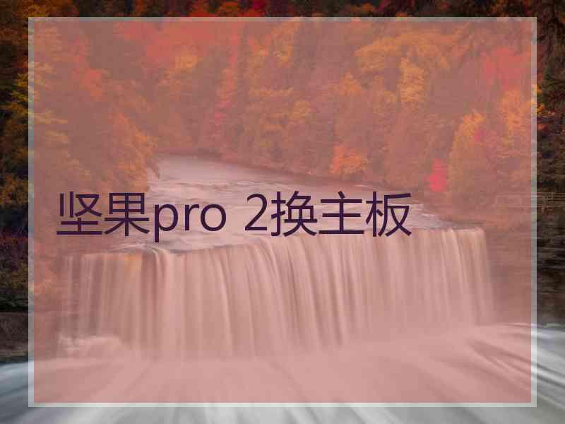 坚果pro 2换主板