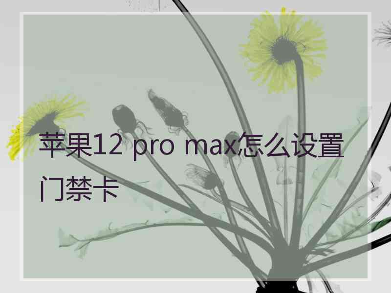 苹果12 pro max怎么设置门禁卡