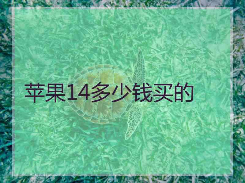 苹果14多少钱买的