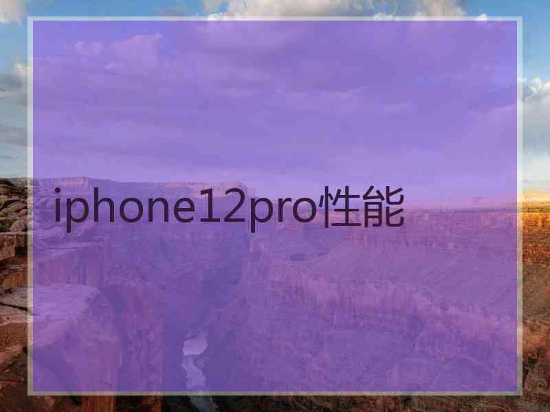 iphone12pro性能