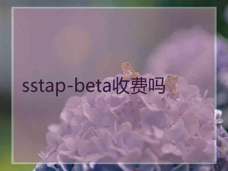 sstap-beta收费吗