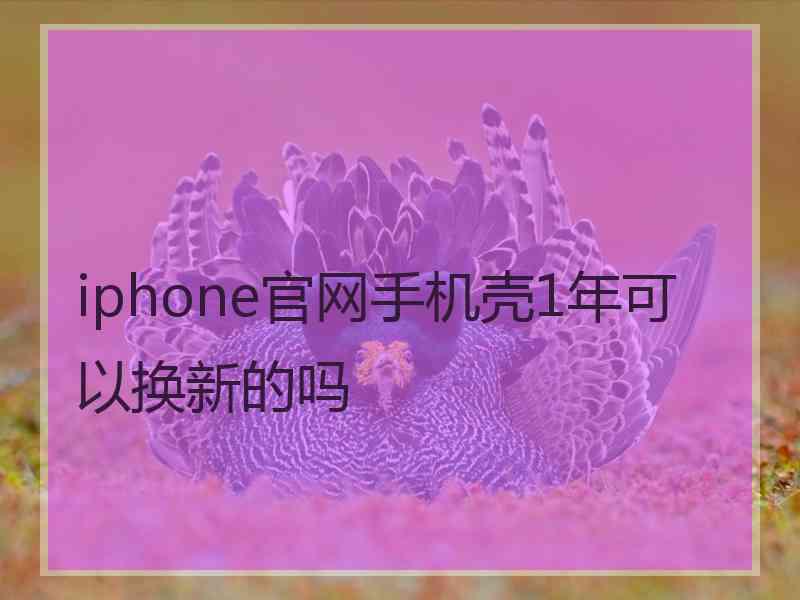 iphone官网手机壳1年可以换新的吗