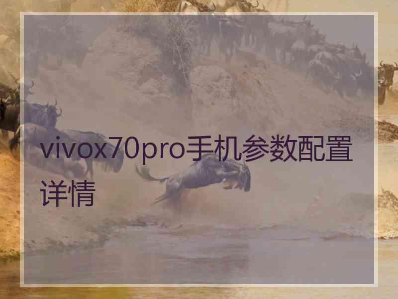 vivox70pro手机参数配置详情