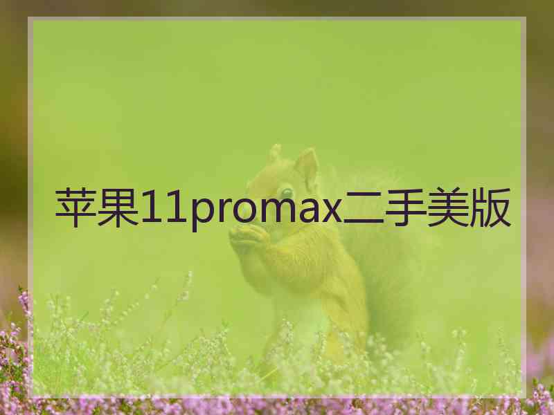 苹果11promax二手美版